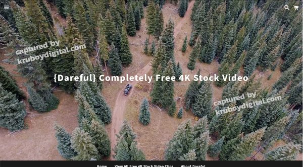 dareful stock footage