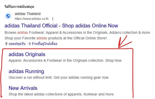 Google Ads Assets (เดิมเรียก Extension)